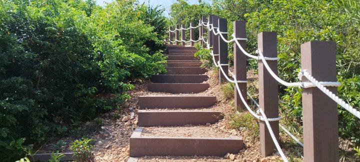 CEDD Tai Po Fu Shan composite wood project — photo 1