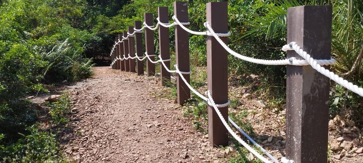 CEDD Tai Po Fu Shan composite wood project — photo 3