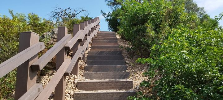 CEDD Tai Po Fu Shan composite wood project — photo 4